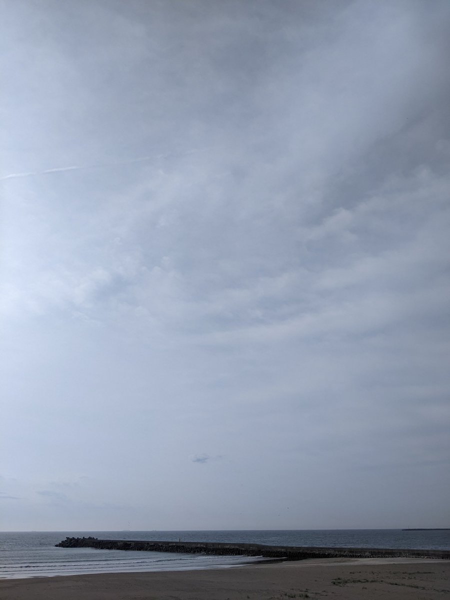 おはようございます!
今日の散歩
#石丸伸二を応援します