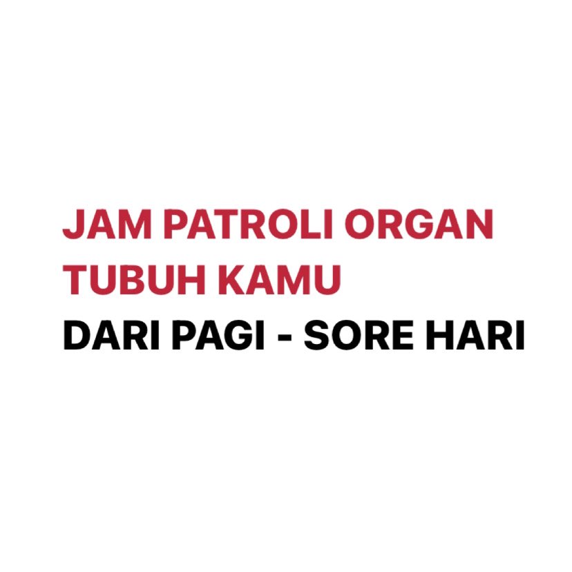 ORGAN TUBUH KITA NGAPAIN AJA SIH DARI PAGI - SORE HARI? 

baca selengkapnya dibawah ya😉👇🏻