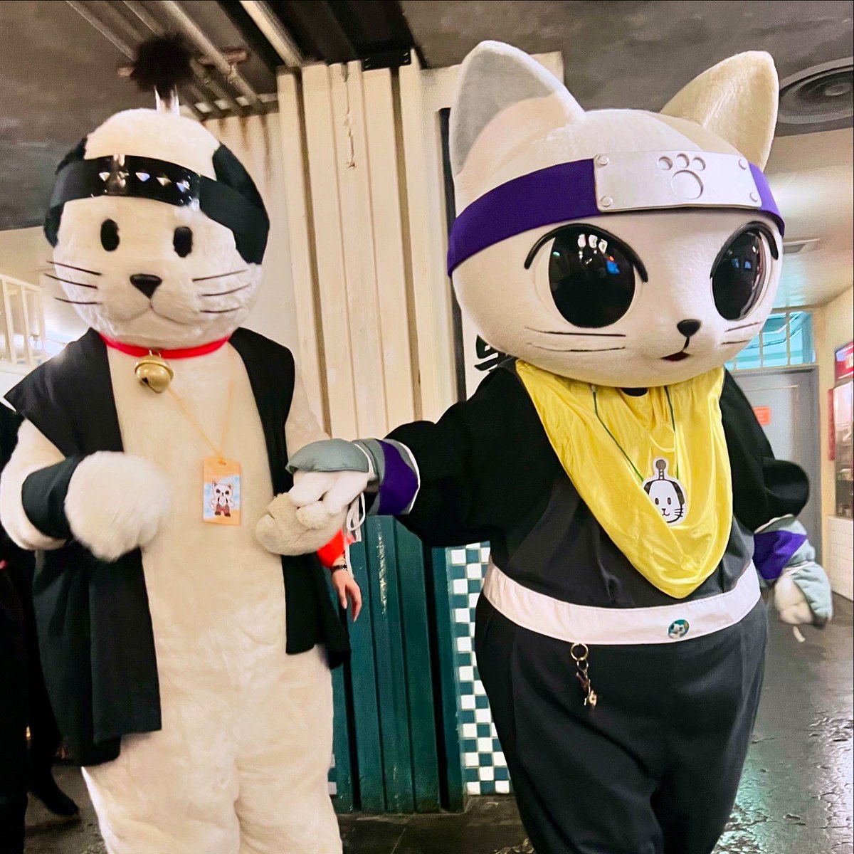 Nyanmage, a cat with a samurai's topknot, is the mascot for the