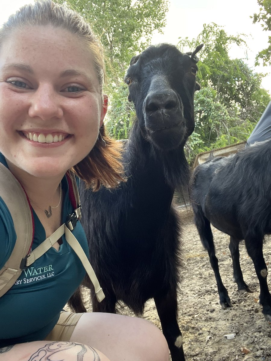 LindsayRinner's tweet photo. My besties 🥰 https://t.co/rgeU3tELWf