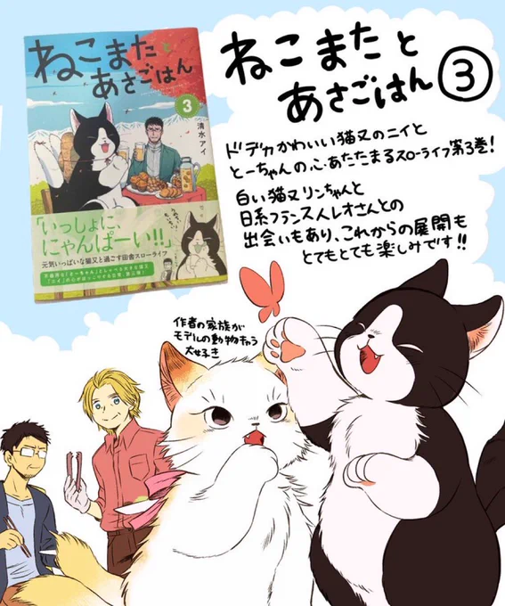 清水アイ先生(@aiai_shim)の『ねこまたとあさごはん』3巻をご恵贈いただきました…!  
猫又になった亡き妻の愛猫「ニイ」と、「とーちゃん」こと朝野宗一郎が自然の中で思い出と新しい出会いに触れる素敵なスローライフ漫画です。
新展開、さらに癒されました☺ 