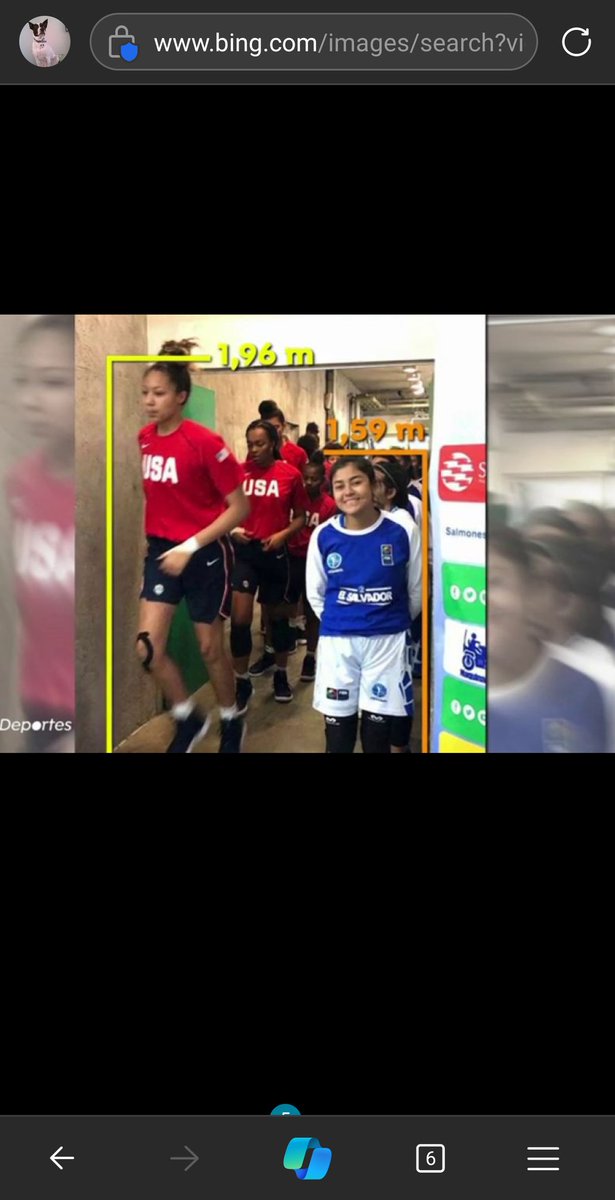 dityfierro's tweet photo. @IdoloPasionWeb Selección sub 16 femenina de basquet vs Honduras https://t.co/jxtKo5vbWX