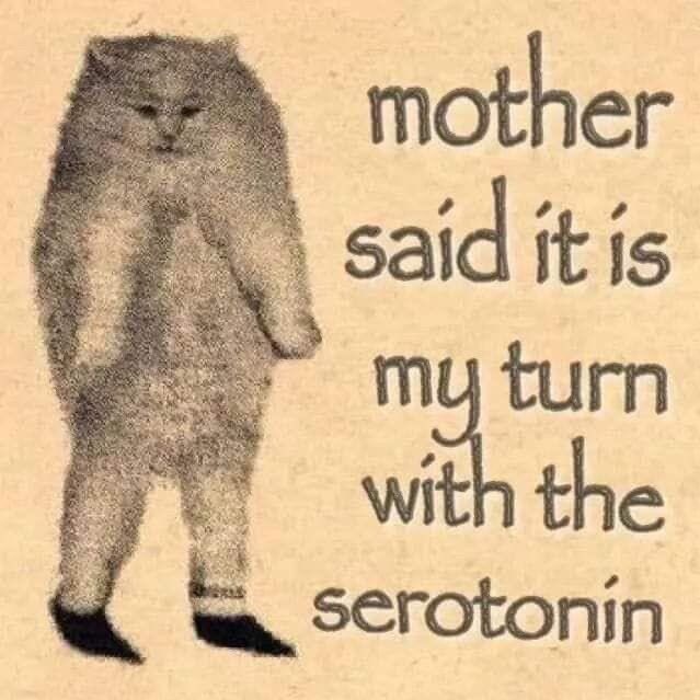 adorened's tweet image. 