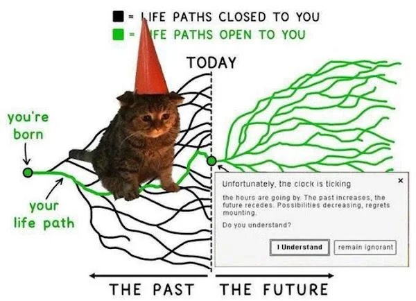 WallStreetMav's tweet photo. Get moving, you are wasting time. https://t.co/igzEei0CMt