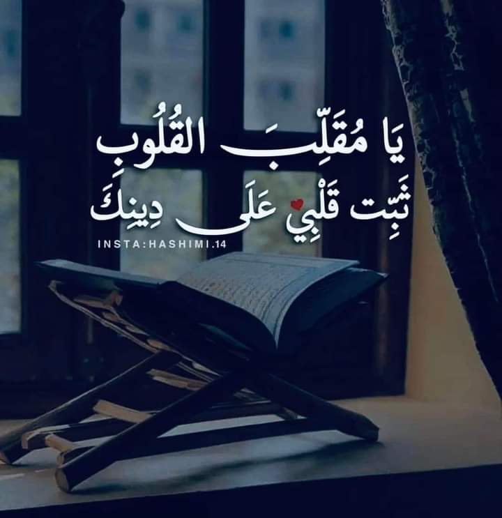 ﷽
السلام علیکم ورحمتہ اللّه  وبرکاتہ 🌹
#خاتم_النبیین_محمدﷺ
#درود_وسلام

یوں تو وہ ایک ہے پر عالم تنہائی میں
میں نے گھبرا کر کئی نام پکارے اسکے
صبح بخیر