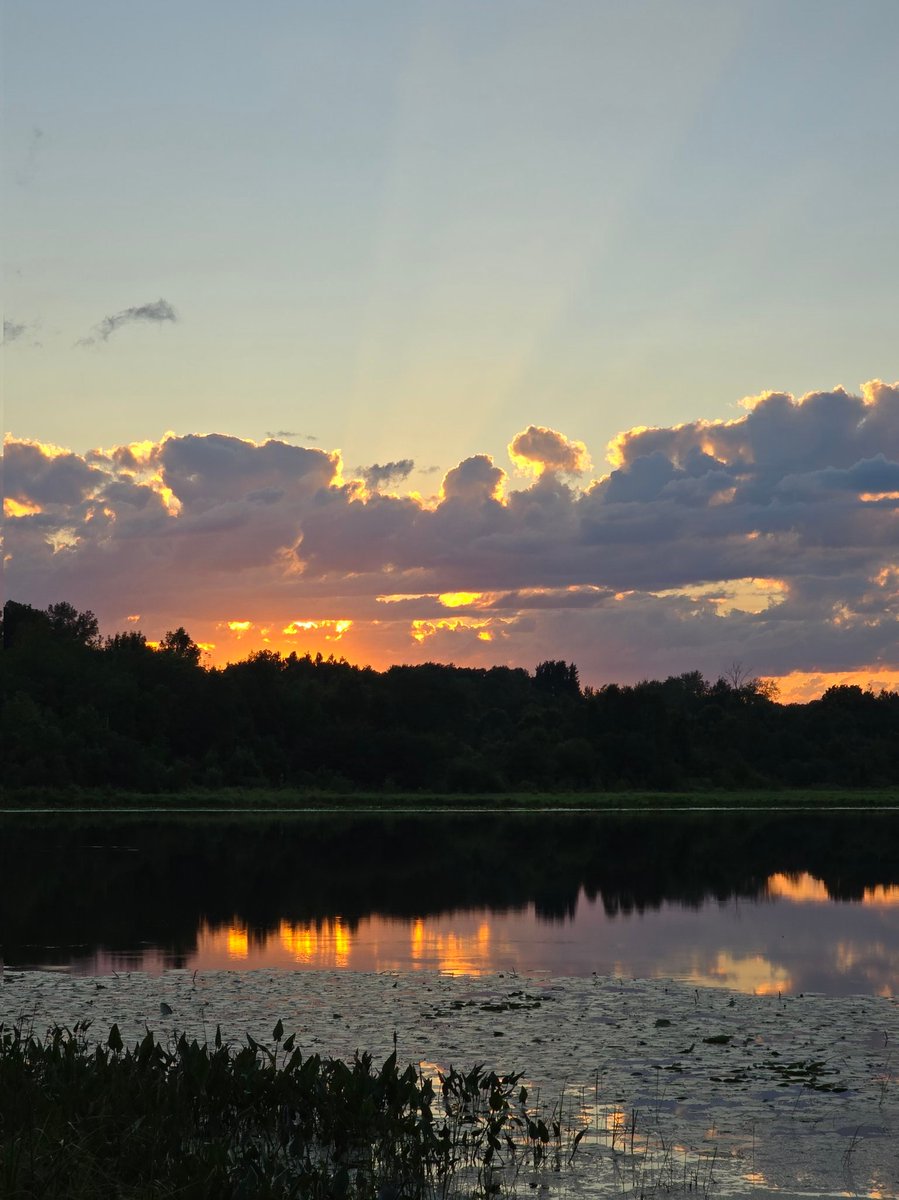 Bird Seeds 🌱 (@birdseeds33) on Twitter photo 