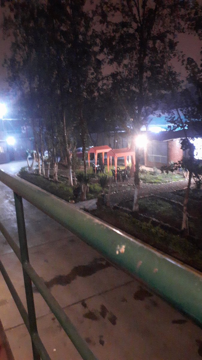 Vanesa Cesar tweet media