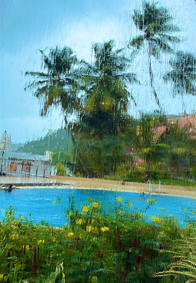 KnottedBraid's tweet photo. #Goa #monsoons #ilovegoa #ilovemonsoonsingoa 💙 https://t.co/sfWfMvpnZL