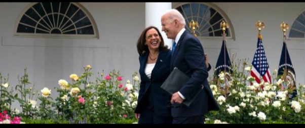 In case you forgot, the thing that scares people most about Joe Biden's age is Kamala Harris's race and gender.
