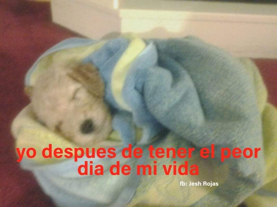 En Júpiter (@en_jupiter_) on Twitter photo 