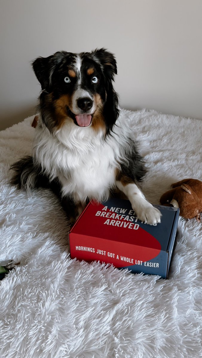 Are you kidding me?!? 😍