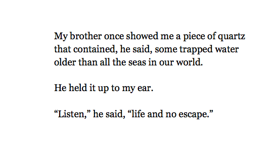 Dr. Maya C. Popa tweet media