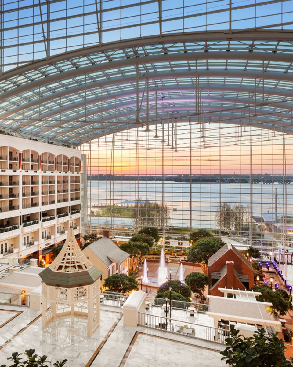 Capital Region USA (@capitalregionus) on Twitter photo Have you ever stayed in a hotel like this? 😍
Located on the banks of the Potomac River in National Harbor, @gaylordnational offers unparalleled views of <a href="/visitmaryland/">visitmaryland</a> from its stunning 19-story glass atrium. #CapitalRegionUSA
📸: @marylandroadtrips Have you ever stayed in a hotel like this? 😍
Located on the banks of the Potomac River in National Harbor, @gaylordnational offers unparalleled views of <a href="/visitmaryland/">visitmaryland</a> from its stunning 19-story glass atrium. #CapitalRegionUSA
📸: @marylandroadtrips