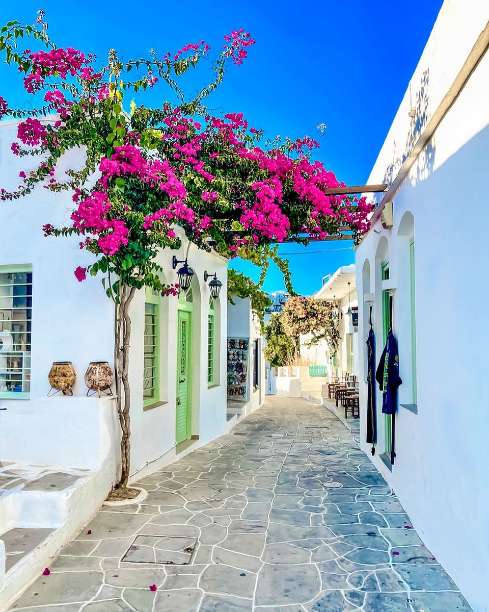 Walking through the alleys of #Apollonia in #Sifnos, you can't help but fall in love with the simplicity and elegance of Greek island life. 🇬🇷
📷 travelgreece