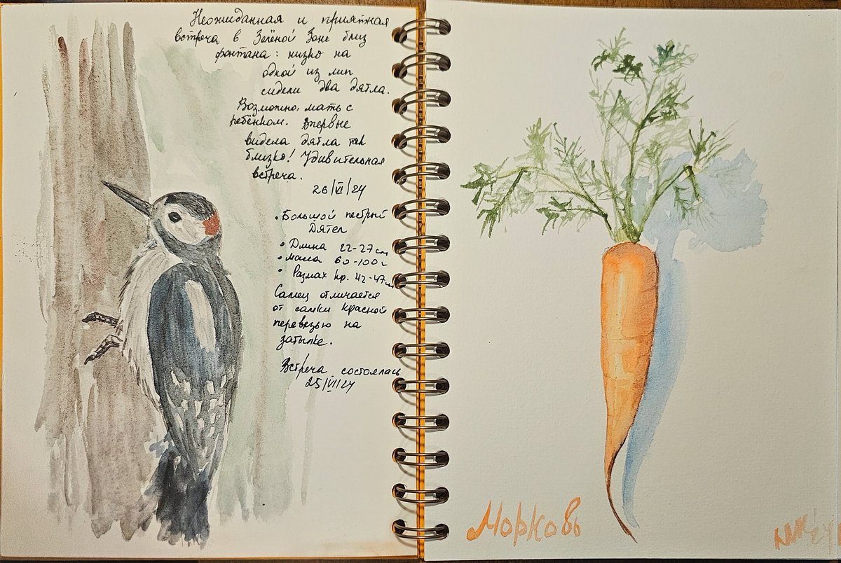 Разворот скетчбука, который мне и самой нравится. 

#sketchart #sketchbook #watercolorpainting #watercolor #aqaurelle #Sketching