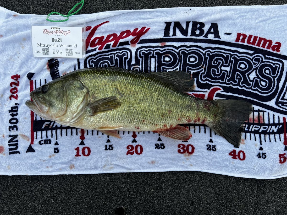 WATAstratos358's tweet image. ケイテックさんのフリッパー大会in印旛沼
結果はお立ち寸止めの６位😅笑笑
4バイト３フィッシュで楽しめました😊✨
#KEITECH
#印旛沼