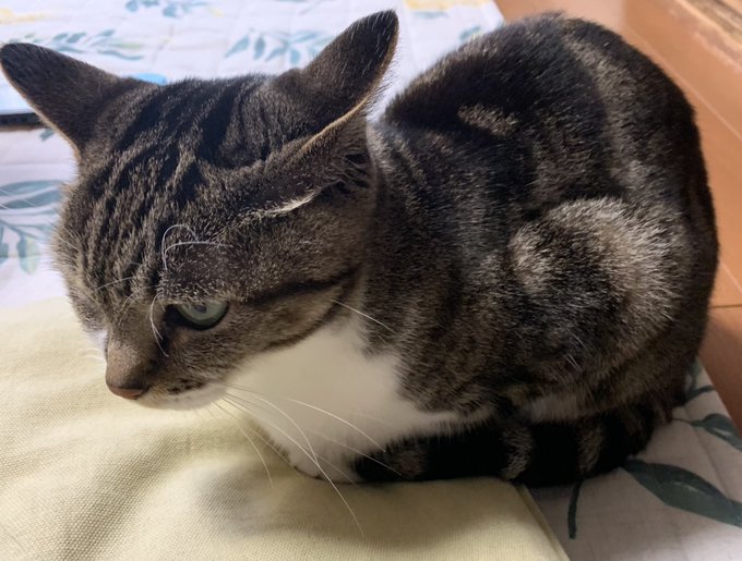 座標ズレてますよ 