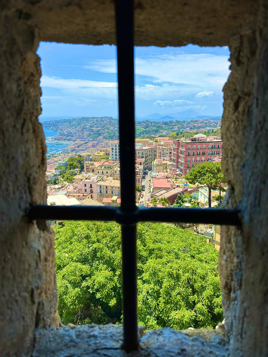 ✘Buddy tweet media