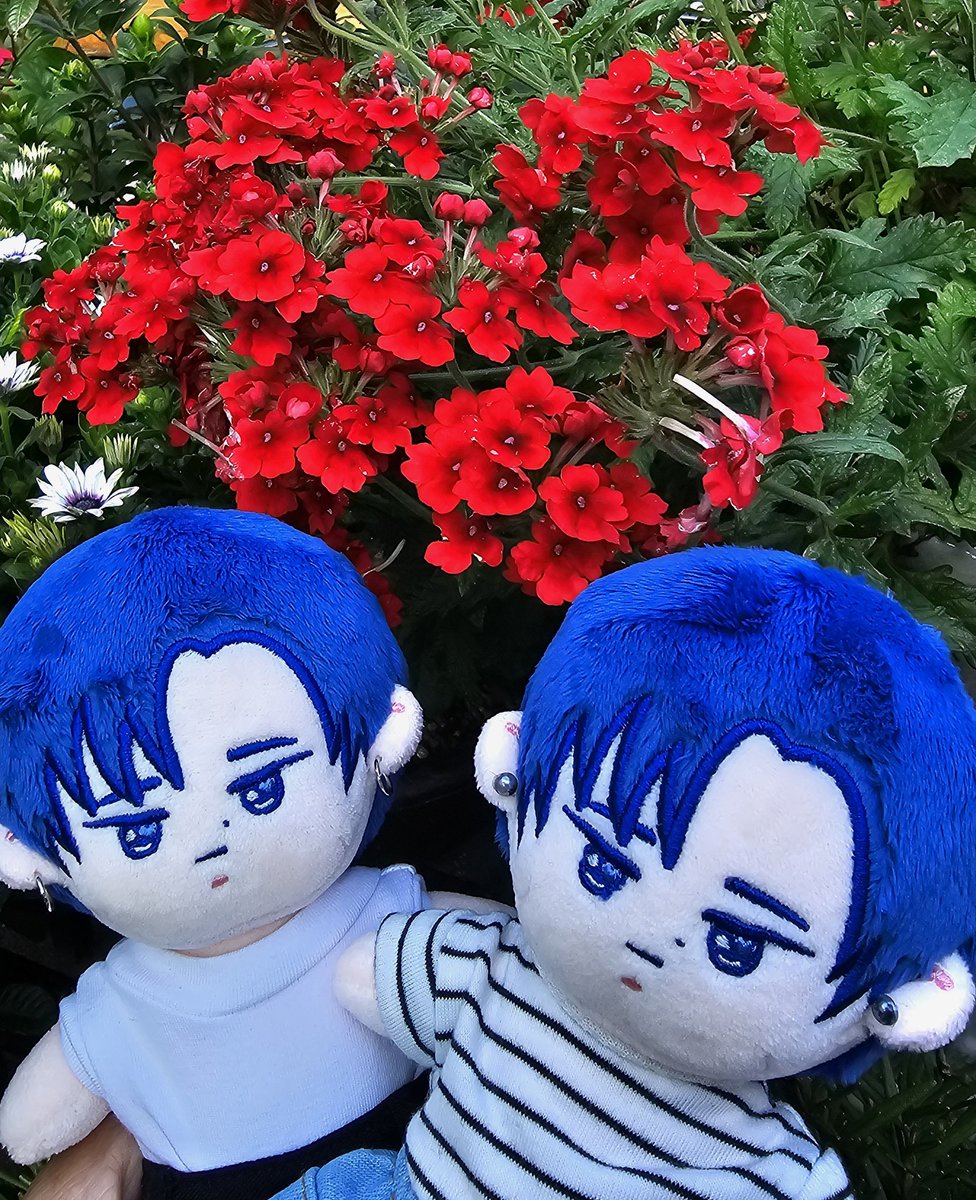 younee722's tweet photo. 👼종복이가 왔어요. 54
종복이들과 행복한 시간~💕💕💕
앞으로 더 행복하게 지내자~!!!
#종복아_반가워
#종업아_우리종복이잘키워보자
#문종업  @jongup_official https://t.co/SfbUx8cl5m