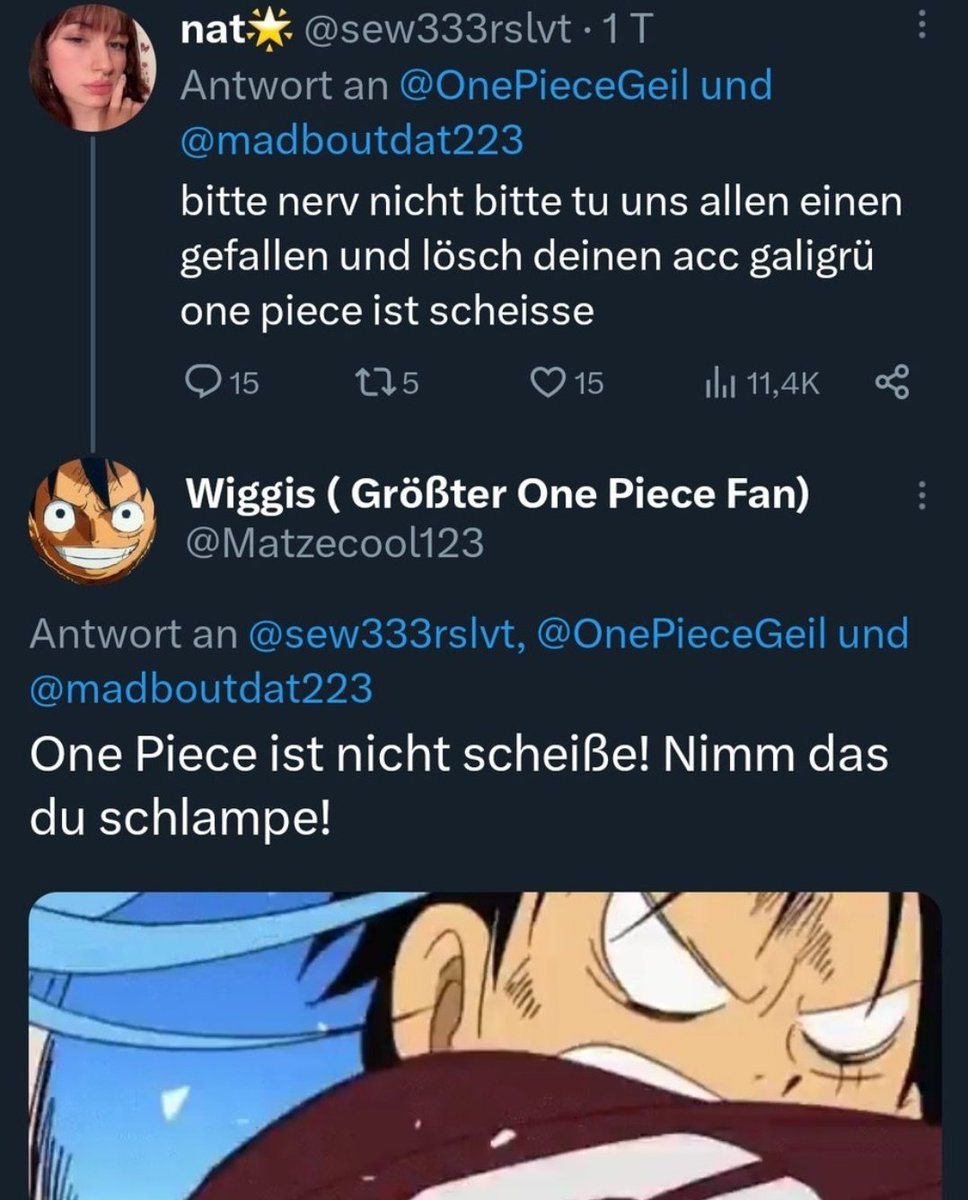 One Piece ist geil tweet media