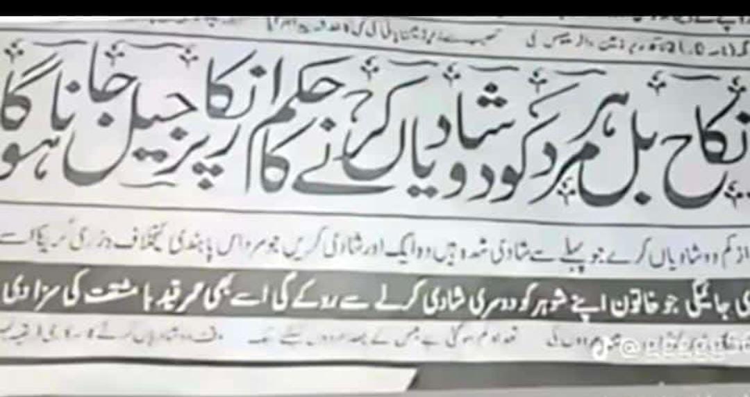 Hadia Saadi tweet media