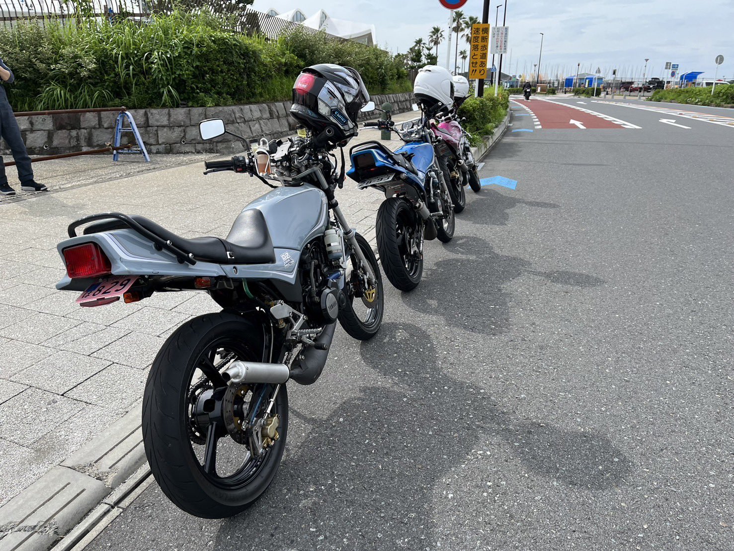 こんにちわんこそば 4582286325160.jpg
