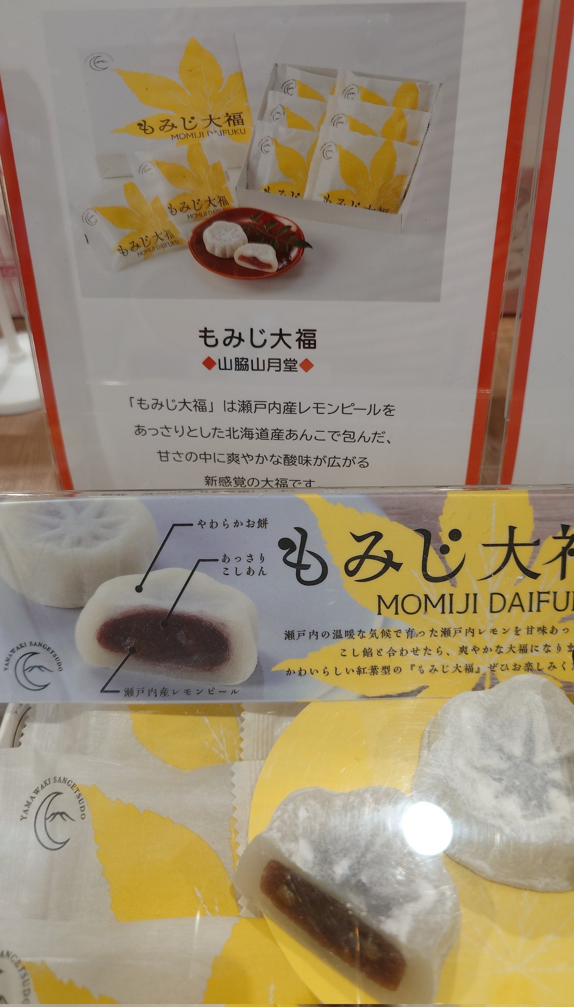 ドッグトルソーの中古が安い！激安で譲ります・無料であげます