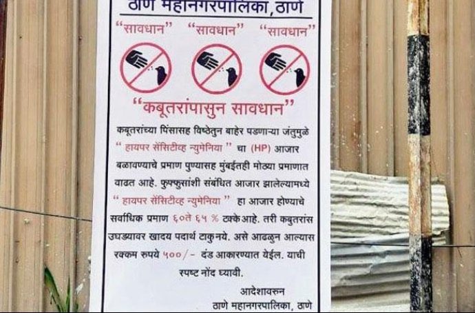 Suchitraarout's tweet photo. Dear @PMOIndia @MoHFW_INDIA , while banning pigeon feeding due to health risks from their poop is understandable, why are cigarettes, known to cause cancer to both smokers and bystanders, still allowed? Prioritize public health over revenue. #BanCigarettes https://t.co/5GcaKw0SkL