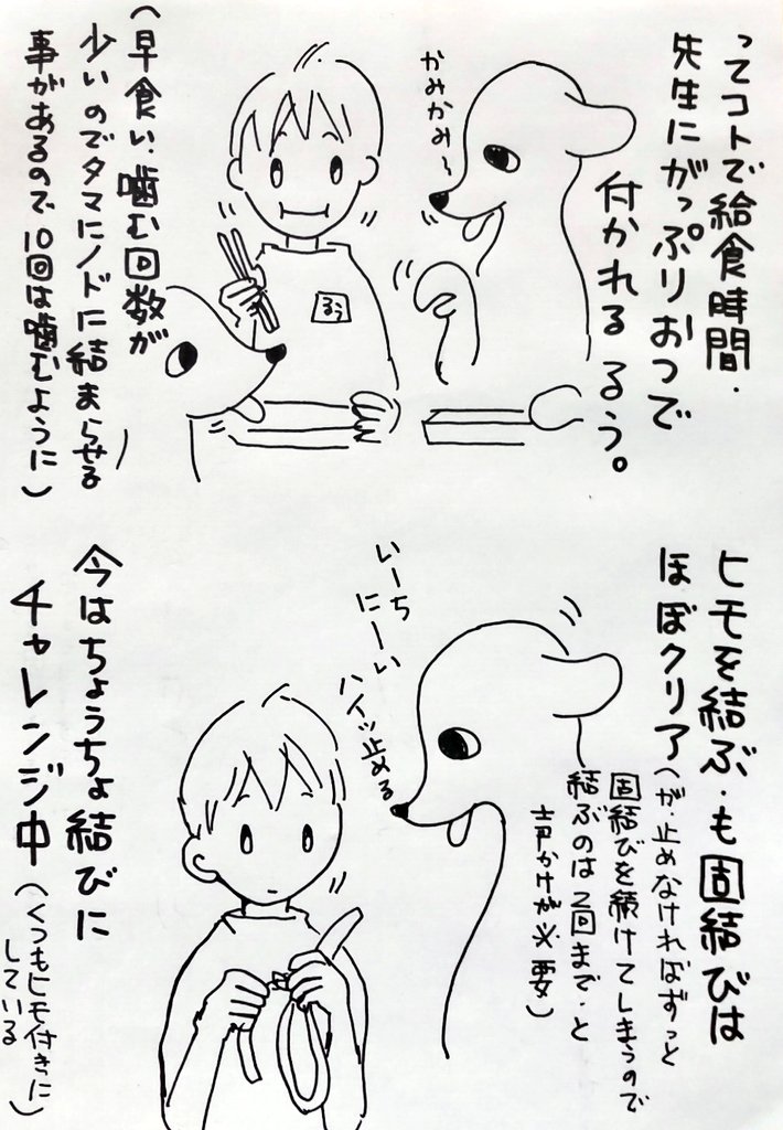 surperhaapy's tweet photo. ・るうは喉に強い刺激を好む傾向にあるので咀嚼回数を増やすのは大事な事（年いった時に危険）

・将来、事業者等に向けてやれる事を増やす https://t.co/6S21N05xqr