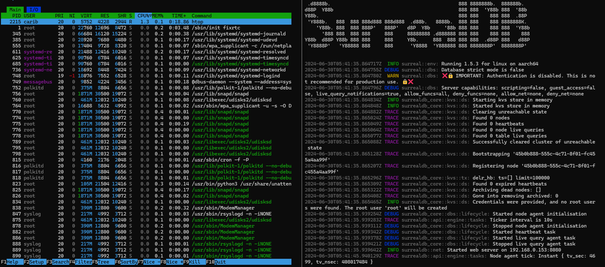 IamDaleon's tweet image. Here is my #RaspberryPi5 with #M2Hat+, using #UbuntuServer while running #SurrealDB locally!