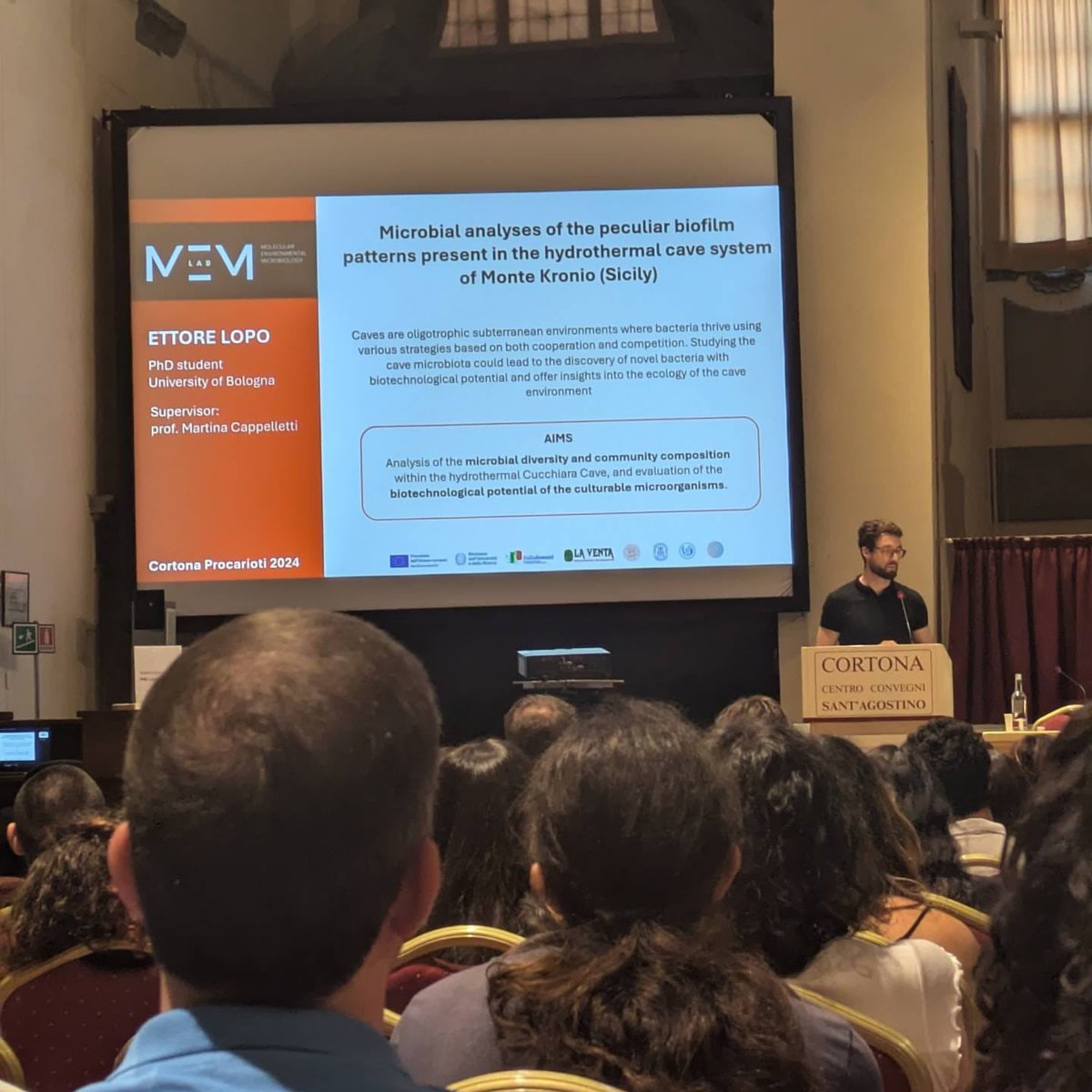 Martina Cappelletti tweet media