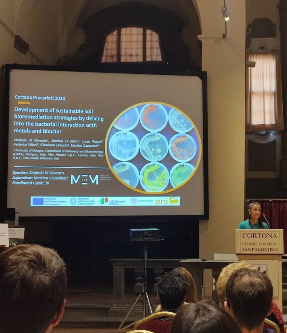 Martina Cappelletti tweet media