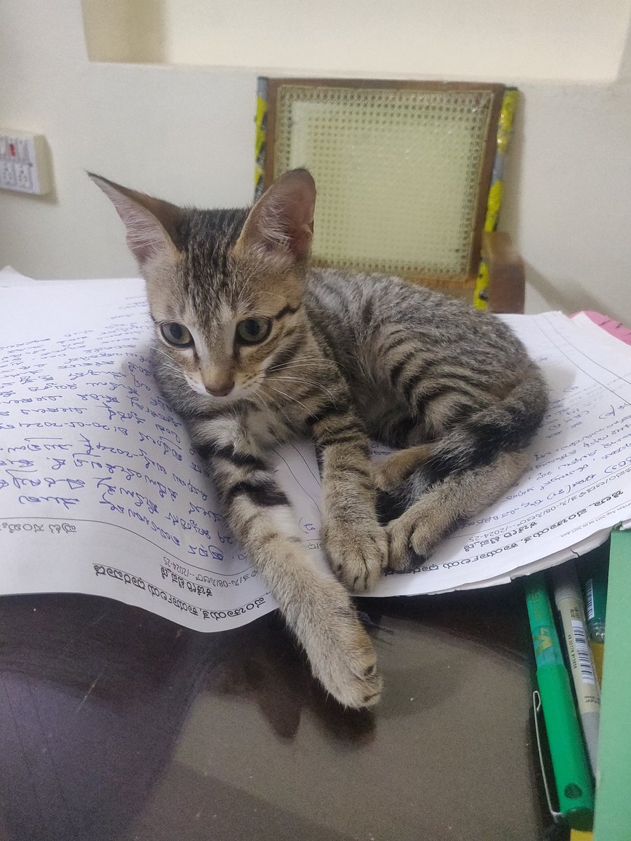 swaroopatk's tweet photo. Mommyyy, No file work on Sunday pl 😍😍 https://t.co/SX6W6SZjZZ