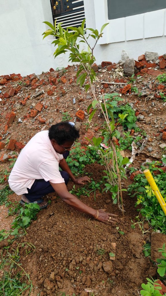 To all, please plant a tree 🌴 in this raining season. I planted Mango Tree and Cheeku(Sapota Tree)Tree at Gopalpur, Hanmakonda...