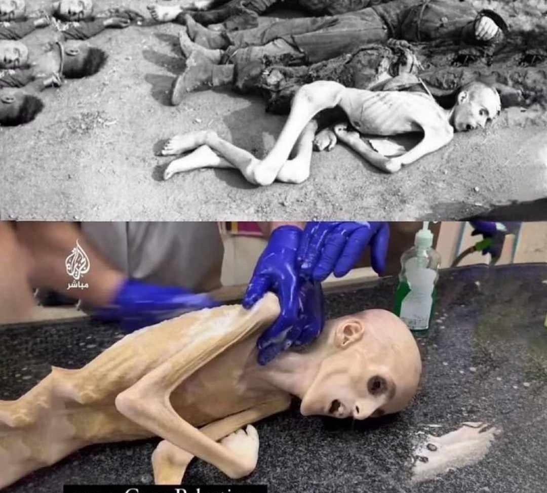 <a href="/Laetiti6896444/">Laetitia Émilie, Manon, Maricela vive le Québec !</a> <a href="/hellene_levy/">Hellène Rolland née Lévy la caquiste de Montréal</a> <a href="/BFMTV/">BFM</a> <a href="/CNEWS/">CNEWS</a> <a href="/FranceTV/">France tv</a> Le système lepen !