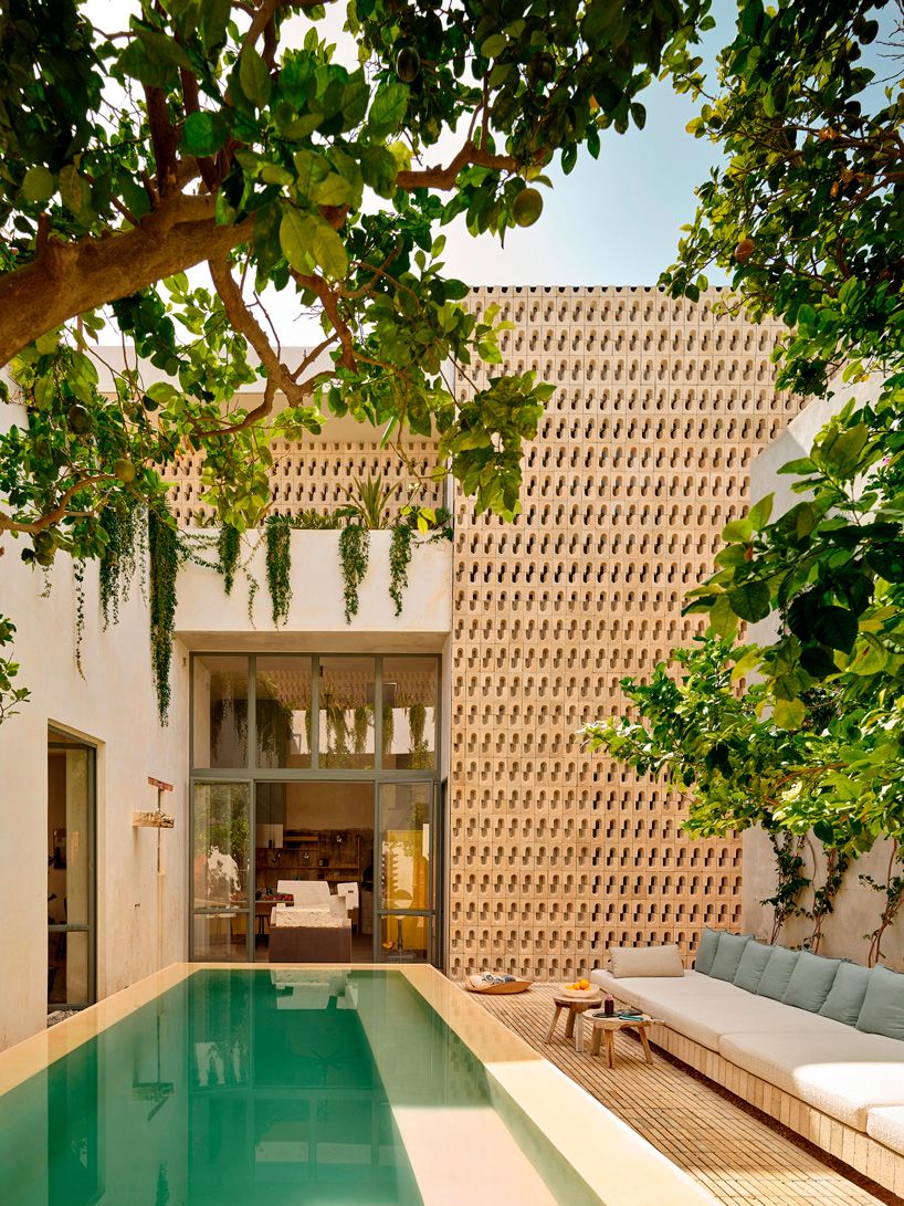 designboom tweet media