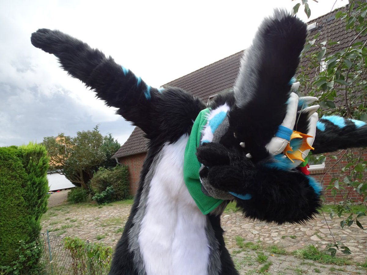 Its #fursuitcrushsunday
Today with one of my favorit dutchies ive ever meet. Say hello to chimoto and tell them UR AWESOME. Have a great day.

Fursuiter and maker is <a href="/ChimotOwO/">Chimoto 🔜Gdakon</a>
Photo made and edit by me