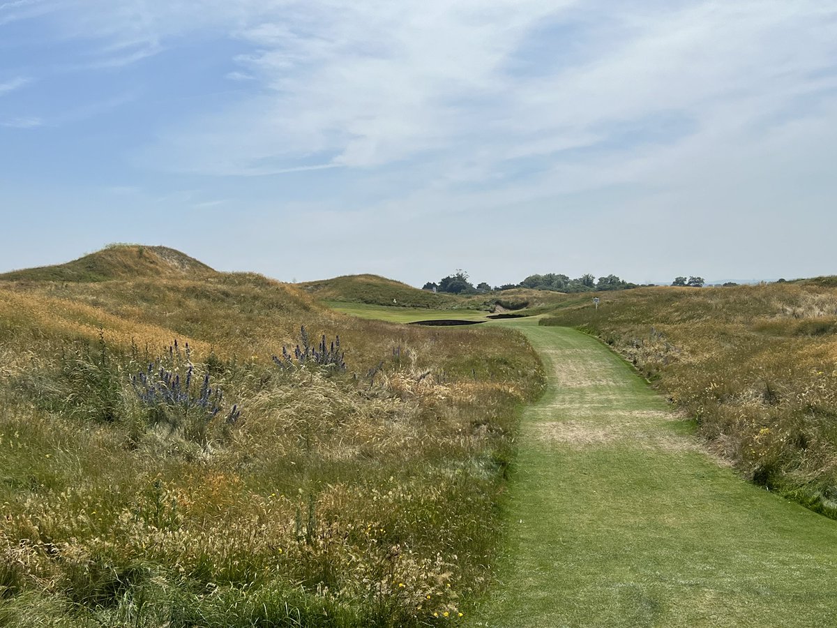 Stephen Ash tweet media