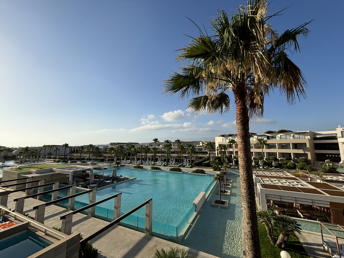 Stockmann lab UZH Anatomy tweet media