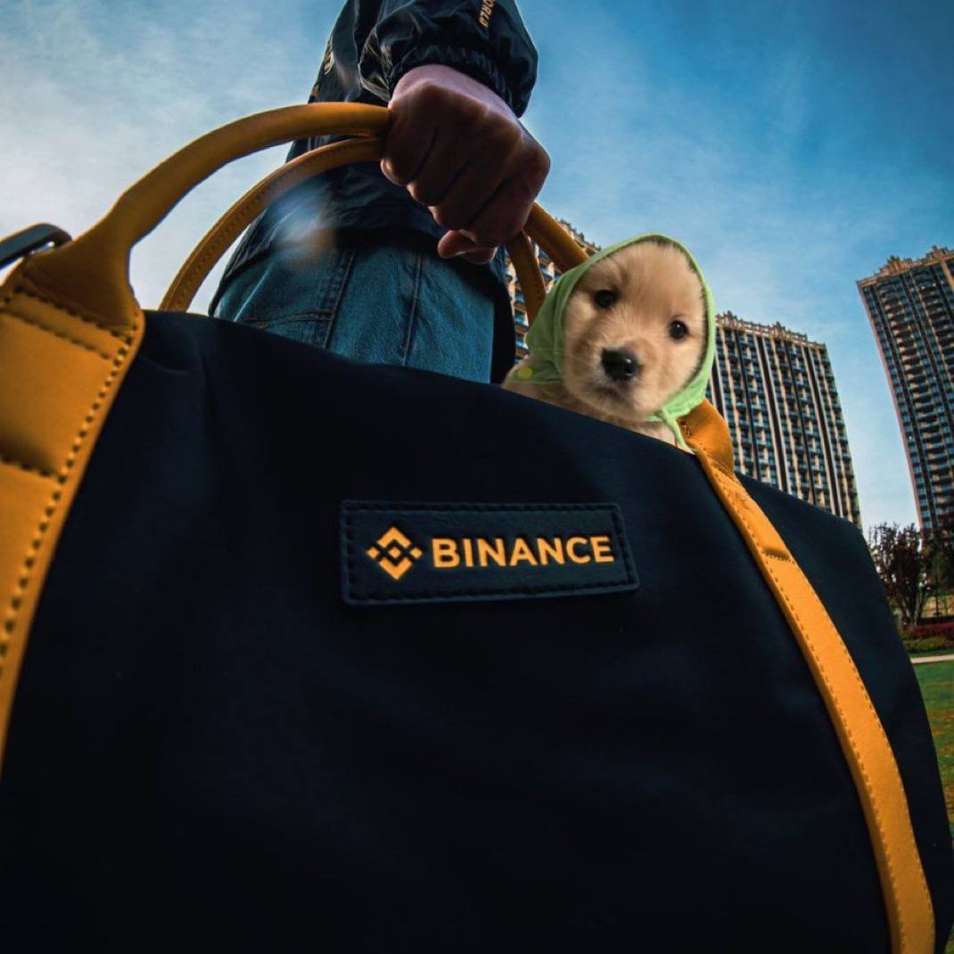 <a href="/shahh/">shah</a> $NELLY UNDER MULTIPLE RUGS BECOMES SOMETHING BEAUTIFUL PRESSURIZED TO BECOME COMMUNITY STRAIGHT DIAMONDS.

This is sending and I WILL SEND IT PERSONALLY.

BUT I WANT YOUR SUPPORT ON MY CTO.

CA: GNu1F4dyaubRsf49maco3Gjb34EA2VREddaYFDi2pump