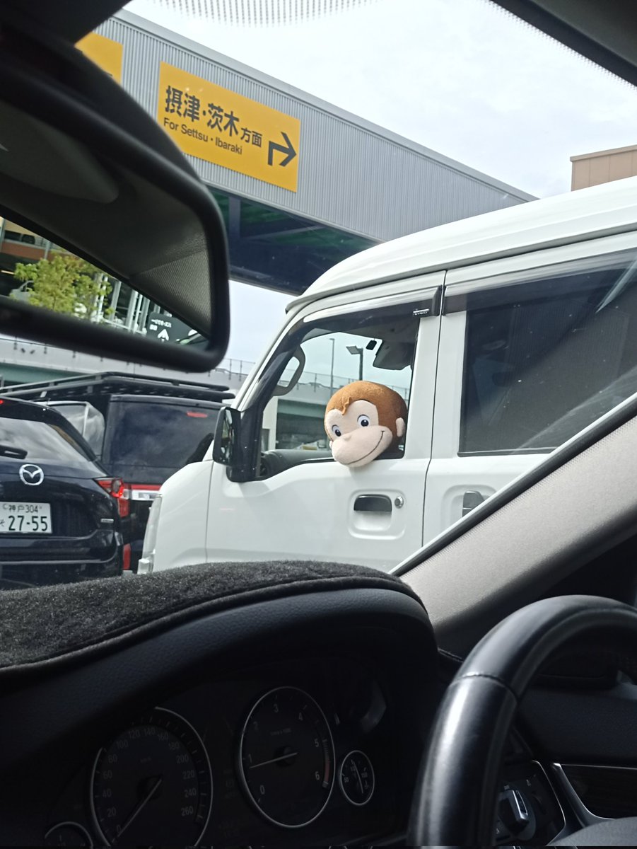 L114514S_Gino's tweet photo. むっちゃジョージと目合うんやけど https://t.co/ErPWsX6jPL