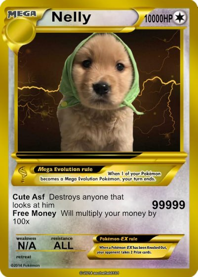 <a href="/littlemustacho/">Little Mustacho 🐕</a> $NELLY is the next BILLY

THE COMMUNITY IS THE HARDEST WORKING OUT THERE.  

DEV SOLD, WE SENT. TG OWNER RUGGED FOR 5 SOL, WE SENT FROM FLOOR.  

CA:GNu1F4dyaubRsf49maco3Gjb34EA2VREddaYFDi2pump