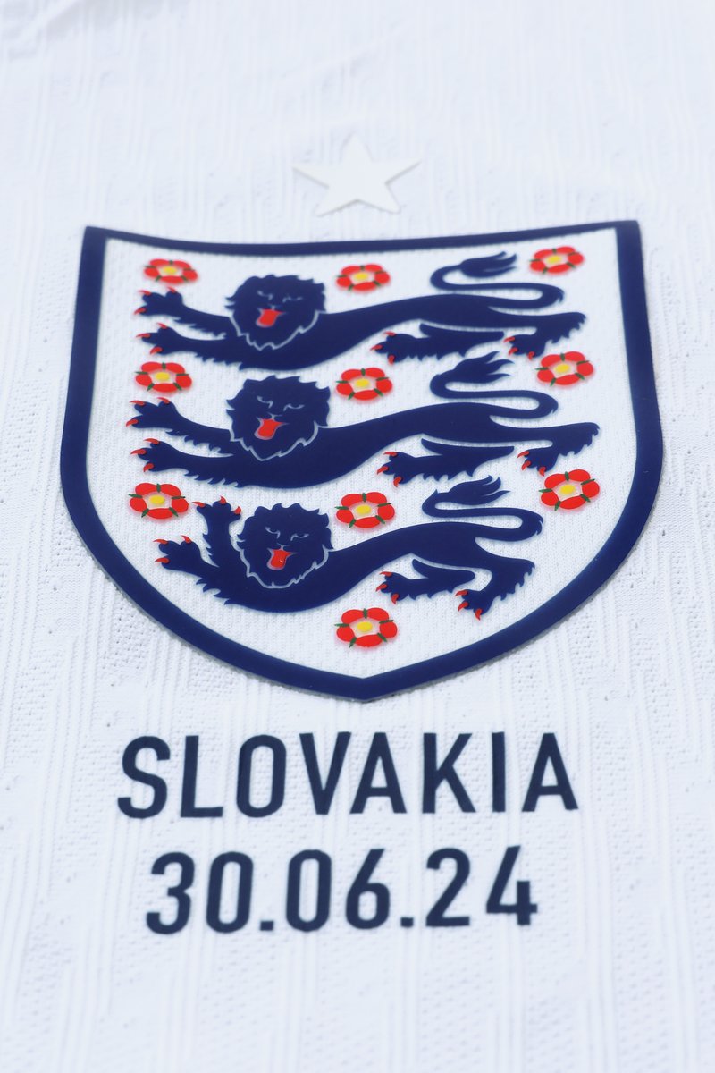 🦁🦁🦁