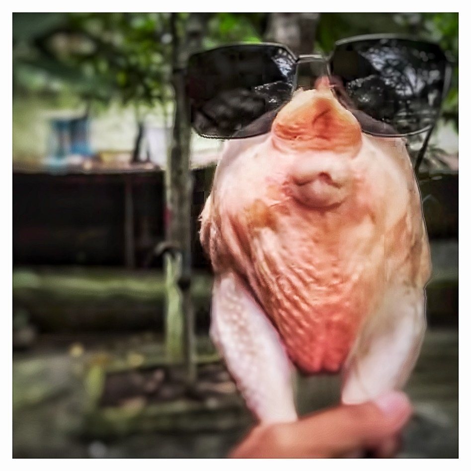 cenderoeng tweet media