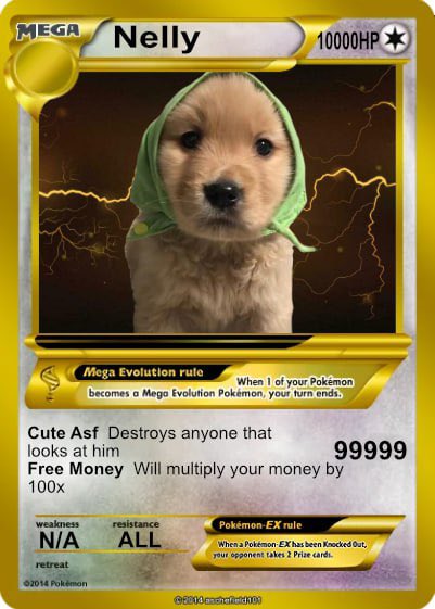 <a href="/W0LF0FCRYPT0/">The Wolf Of Crypto Streets</a> $NELLY DONT SLEEP ON 💎