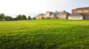 ShadesIce's tweet photo. If u are reading this, u need to take some rest from farming. 

go outside and touch some grass, contemplate some things and strengthen your will in farming

$KIP @KIPprotocol https://t.co/a39TAbST6J