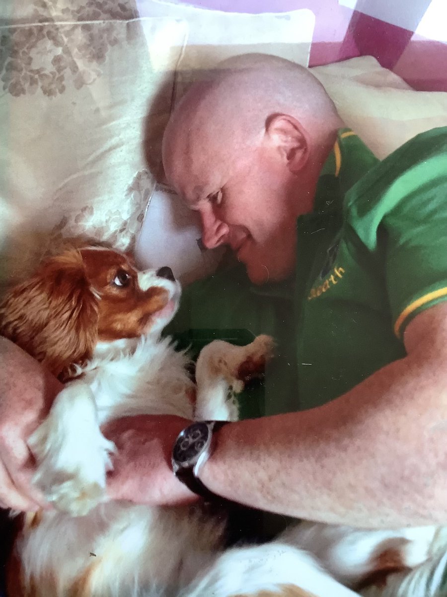 Seán Fay tweet media