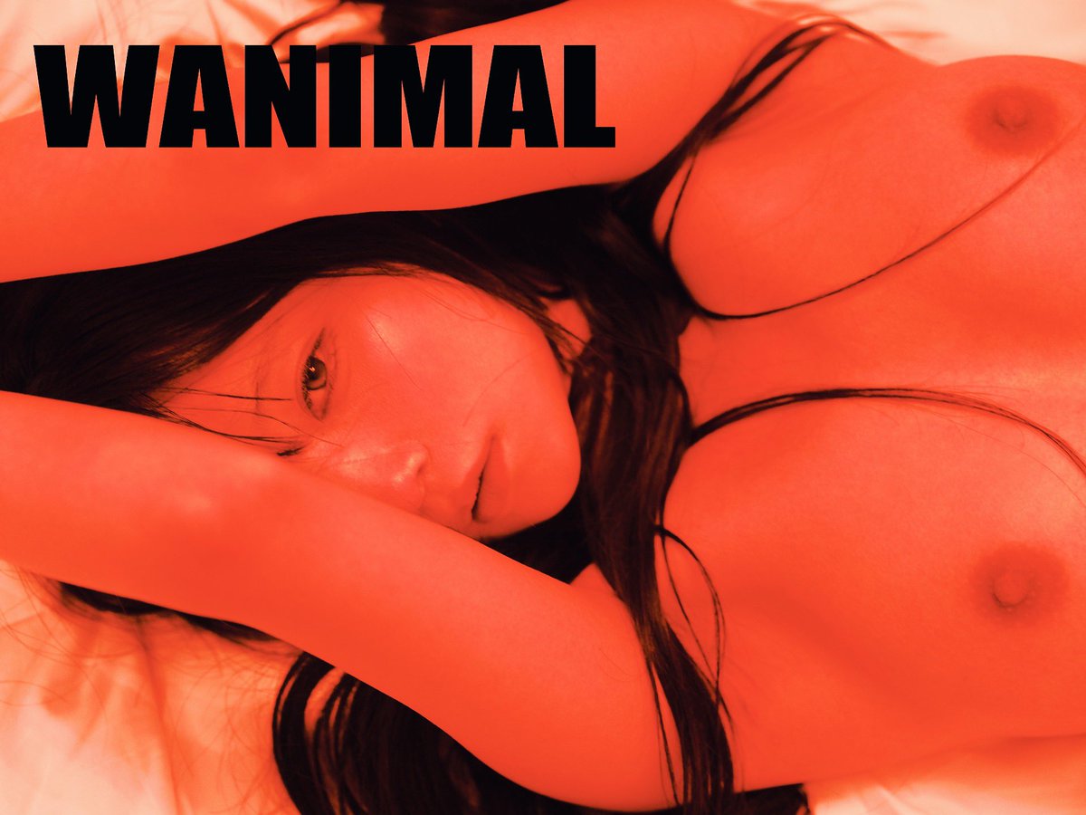 WANIMAL NEW COMER

@Kaisa0w0 https://t.co/ZZ5iEwqQOd