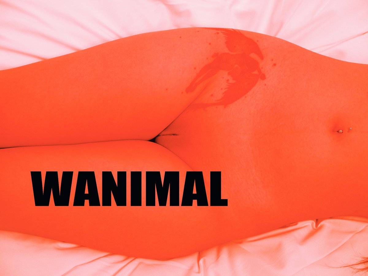 WANIMAL NEW COMER

@Kaisa0w0 https://t.co/rfwvGZQUC4