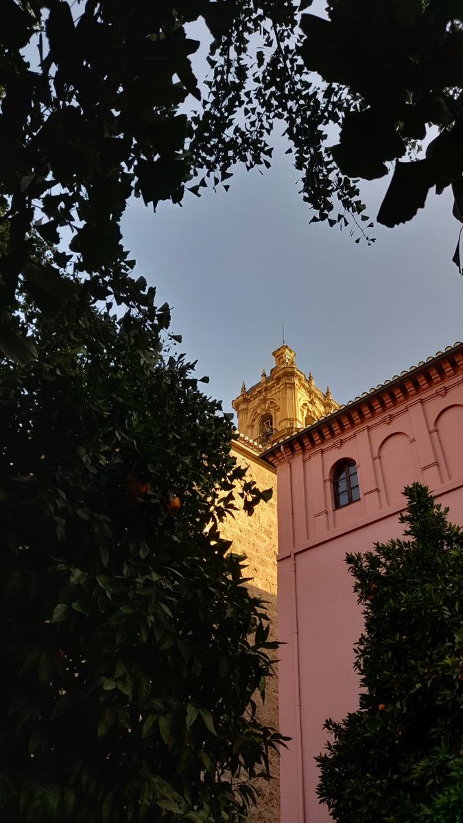 PapperShadows's tweet photo. Así que weno, Granada a través de las estaciones. 
Otoño - Invierno - Primavera - Verano https://t.co/ButBQwmmuU